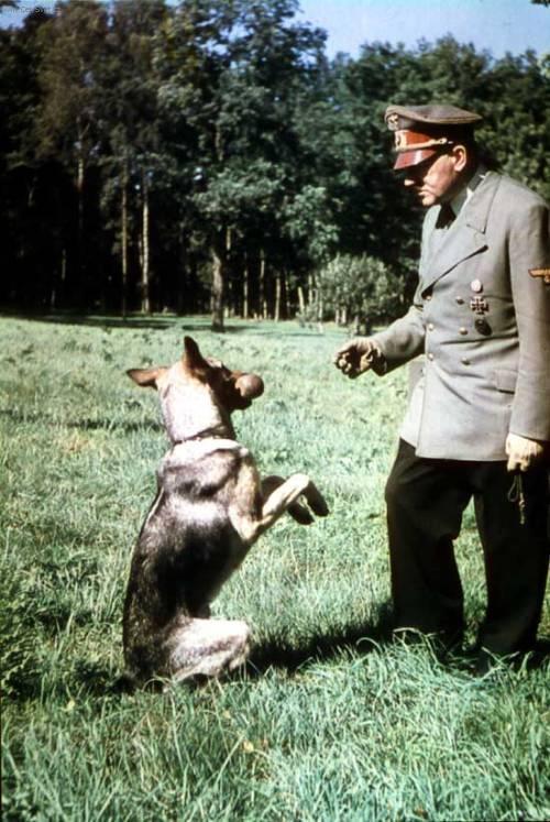 Fotky: Adolf Hitler (foto, obrazky)