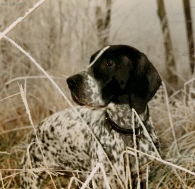 Foto: Arežský brak