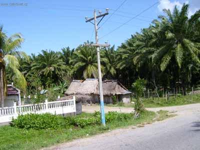 Foto: Honduras-Buenavista