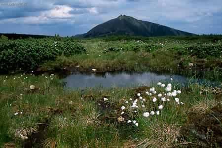 Foto: Nejvyšší hory ČR-Krkonoše - SNĚŽKA