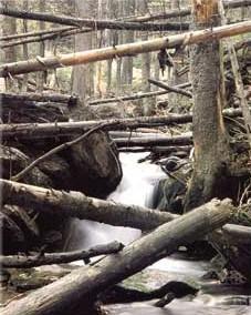 Foto: Jihočeský kraj-Boubín