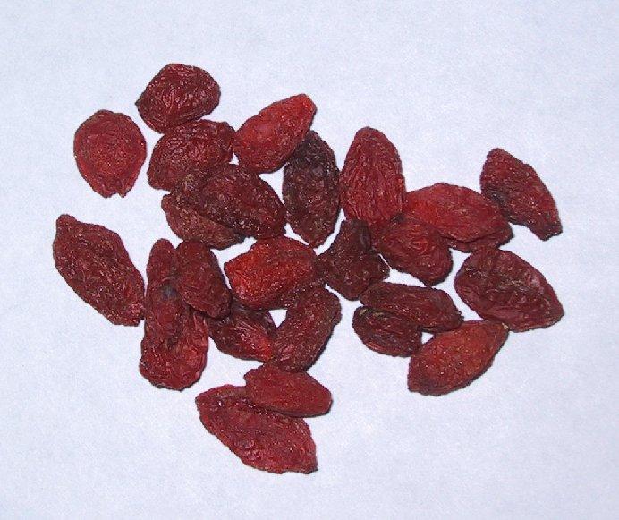 Foto: Kustovnice Cizí