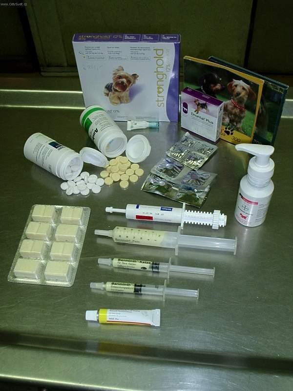 Foto: Odčervení psů