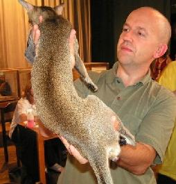 Foto: Orientální kratkosrstá kočka-CHS:  z Valimaru *Cz