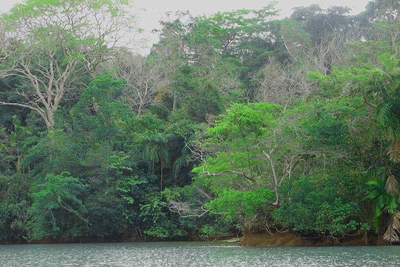 Foto: Panama-Panama City