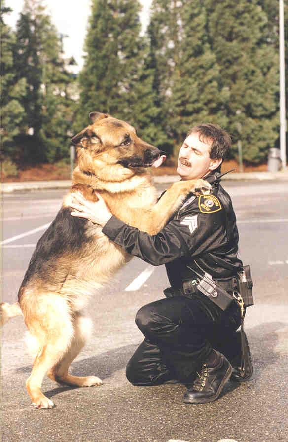 Foto: Potrestání pejska