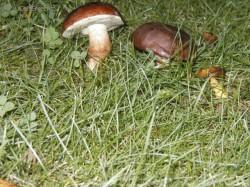 Foto: Puzzle online: Ostatní 3