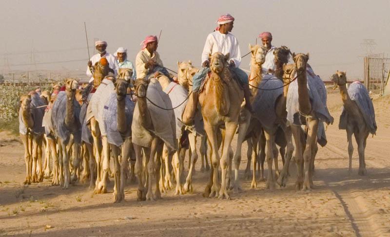 Foto: SAE – Spojené Arabské Emiráty