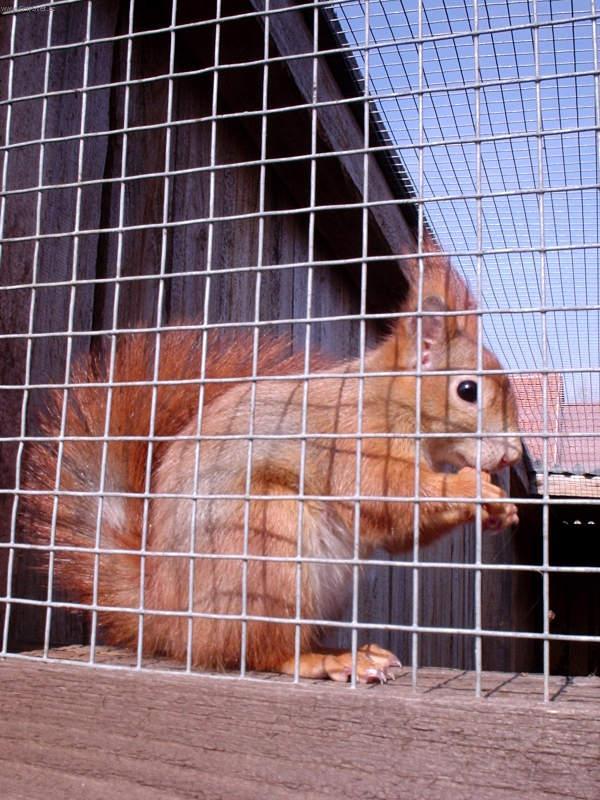 Foto: Stanice pro hendikepované živočichy