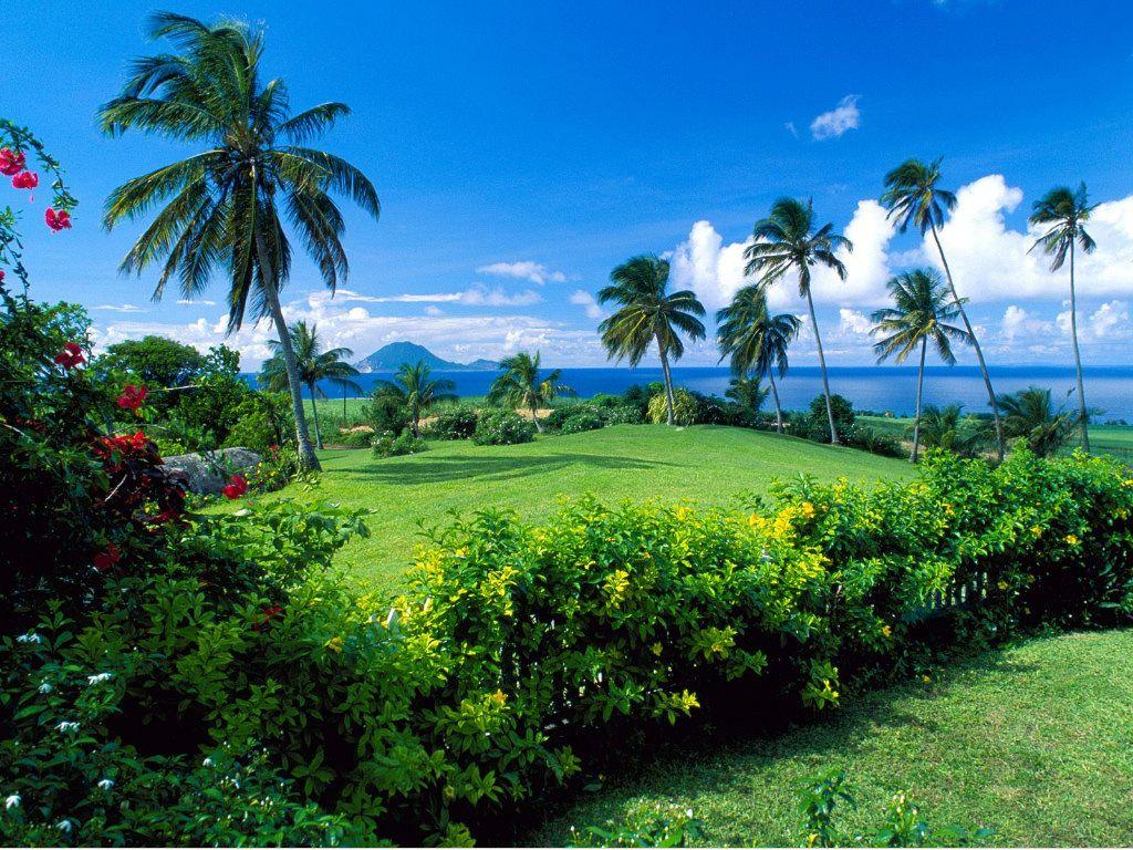 Foto: Svatý Kryštof a Nevis