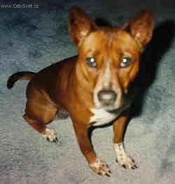 Foto: Telomian-Majitelka: Amanda Carter