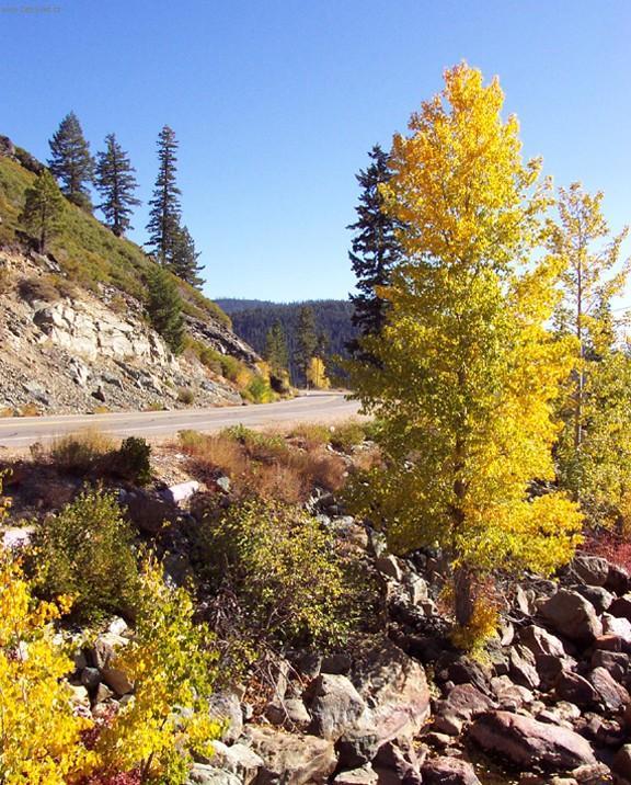 Foto: Oblast Amador Country, Kalifornie.