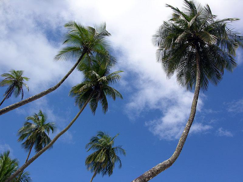 Foto: Trinidad a Tobago-Port-of-Spain