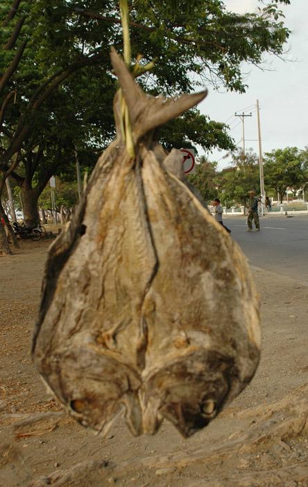 Foto: Východní Timor-Dili