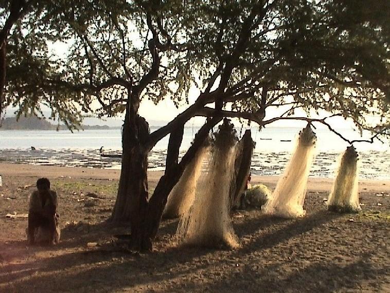 Foto: Východní Timor-Dili