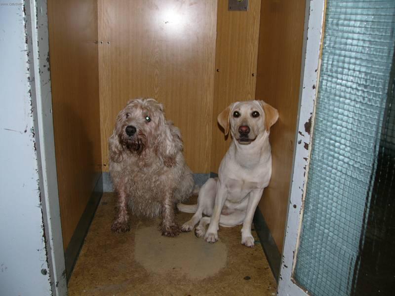 Foto: Vydrař-Majitel: Jan Prášil