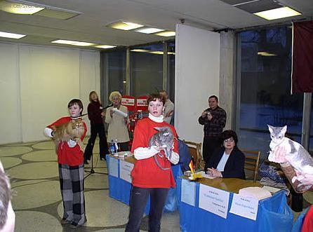 Foto: Výstavy koček