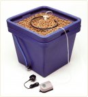 Pokojové rostliny: Pěstitelské rady > Hydroponie (Hydroponics)
