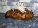 Psí plemena:  > Irský setr (Irish Red Setter)