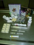 :  > Odčervení koček (Škrkavky, tasemnice, giardióza a kryptosporóza, toxoplazmóza)