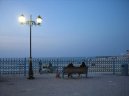 SAE – Spojené Arabské Emiráty