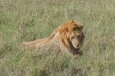 Zeměpis světa:  > Tanzanie