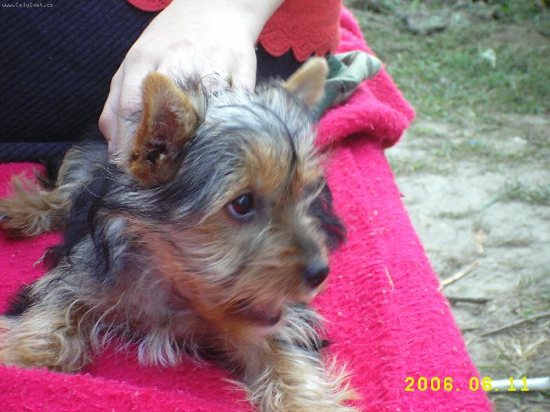 Foto: Zasloužený odpočinek