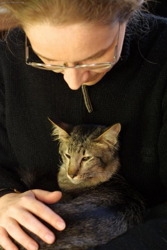 Foto: Anarya - OLH n 24