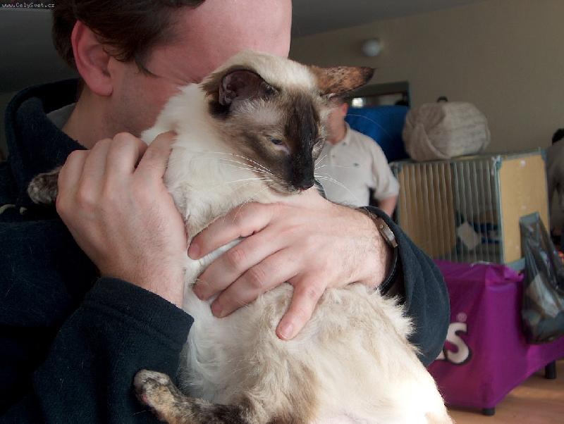 Foto: Minttu - želvovinová holčíčka