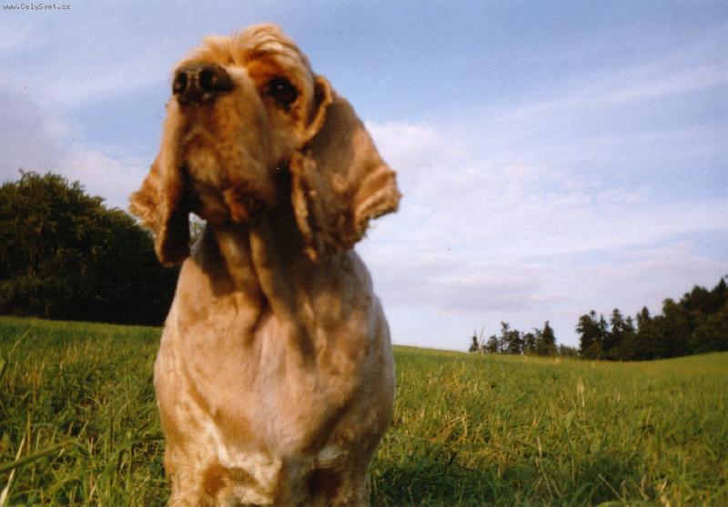 Foto: Endyšek =o)-Můj miláček =o)