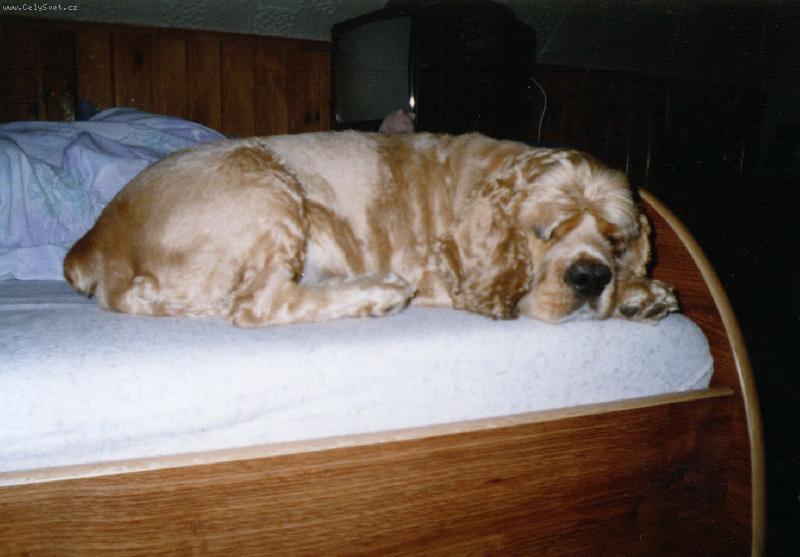 Foto: Enďulka-Mucíínéék =o)