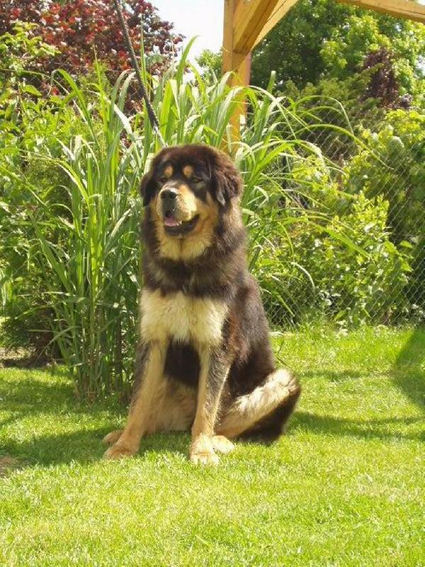 Foto: Bei Shan Padmaraga Drizai-Beišulka:-))