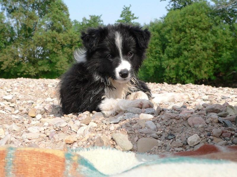 Foto: Borgia Corrie Mintaka