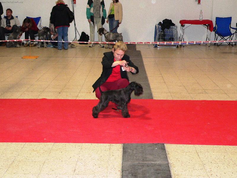 Foto: Ch. Edmund Dantes Androis