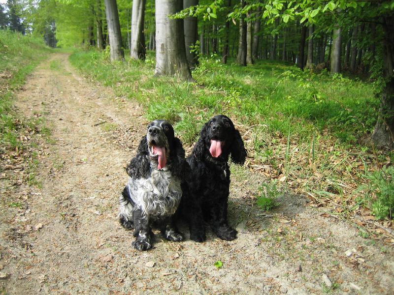 Foto: Moji dva roáci