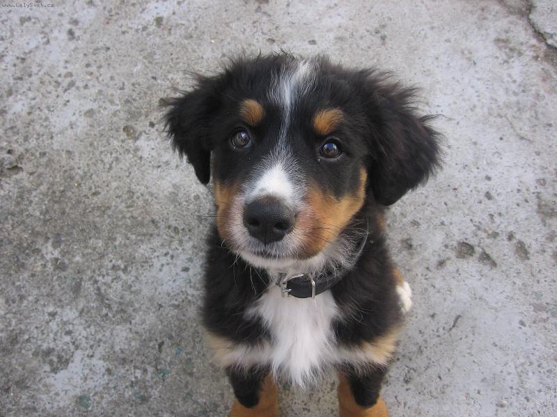 Foto: Harry-Miláček rodiny