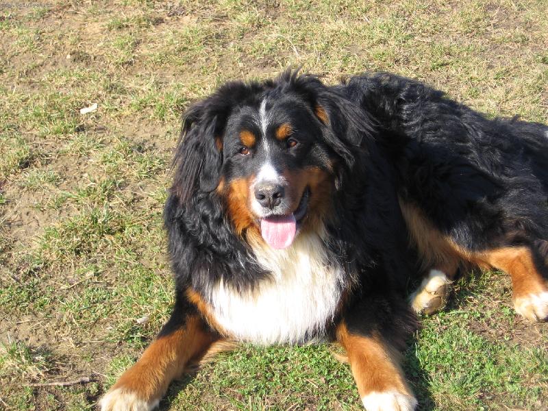 Foto: Harry - já jsem já