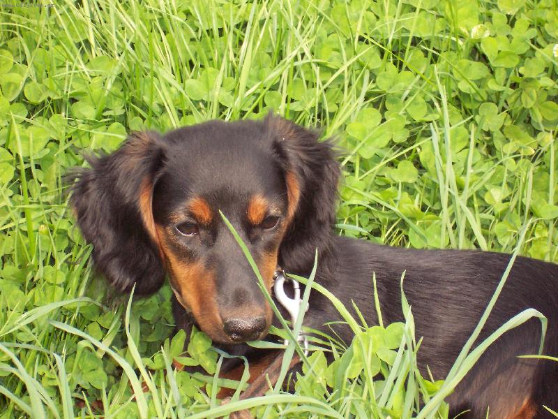 Foto: Tina-koule-jsem venku a moc se mě tam líbí