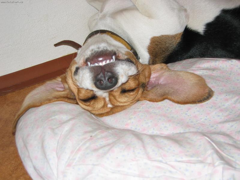 Foto: Je to paráda lehnout si na záda :)