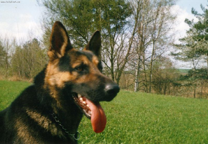 Foto: Dixík-Milášek =o)