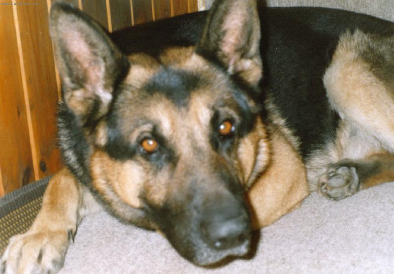 Foto: Dixíček-Mucínek můj =o)