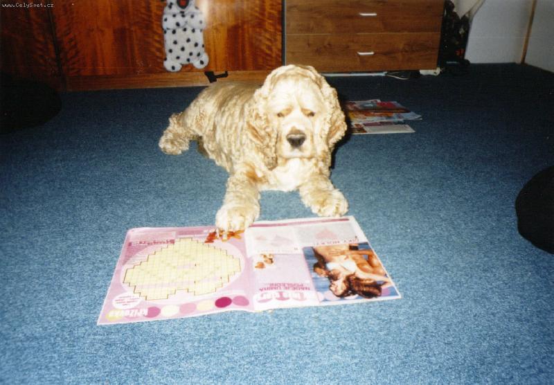 Foto: Endyšek =o)-Náše zlatíčko