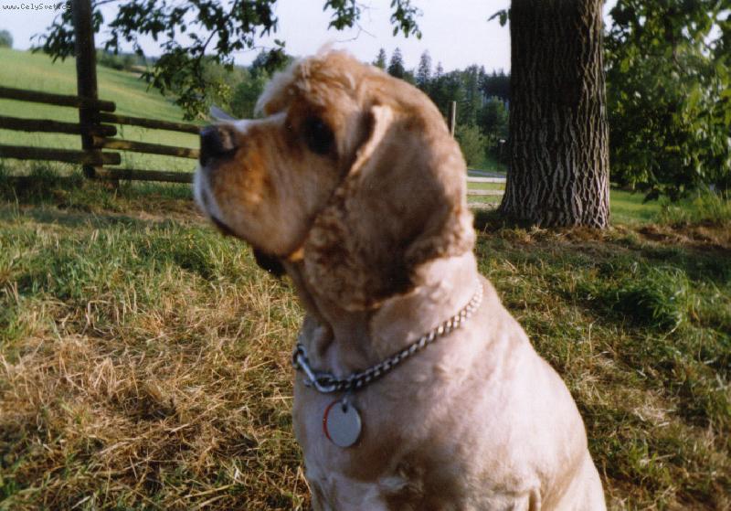 Foto: Endoušek-V Ošíkově =o)