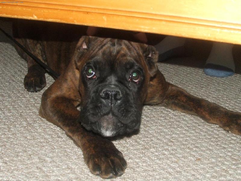 Foto: Ja to nebyl.... opravdu...