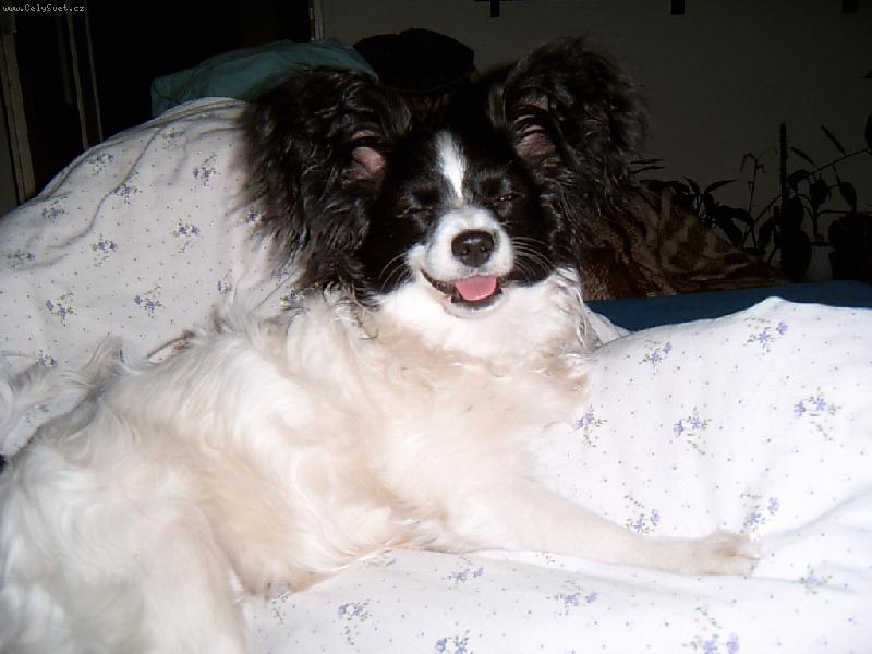 Foto: Před spánkem