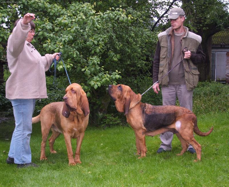 Foto: manželé v Belgii-výlet české dámy do Belgie