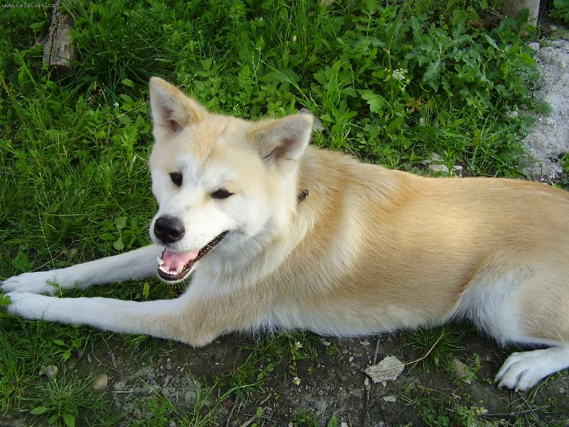 Foto: naše Doši-pohoda