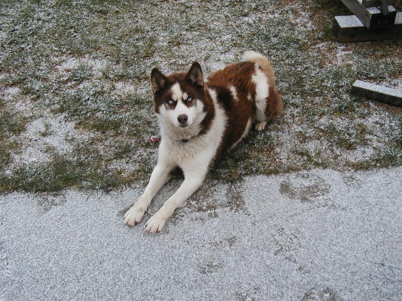 Foto: Brenda-Co myslíš, že teď udělám?