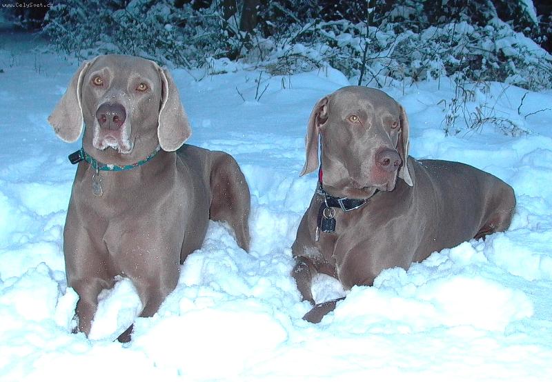 Foto: kamarádi-Krkonoše zima 2005/2006