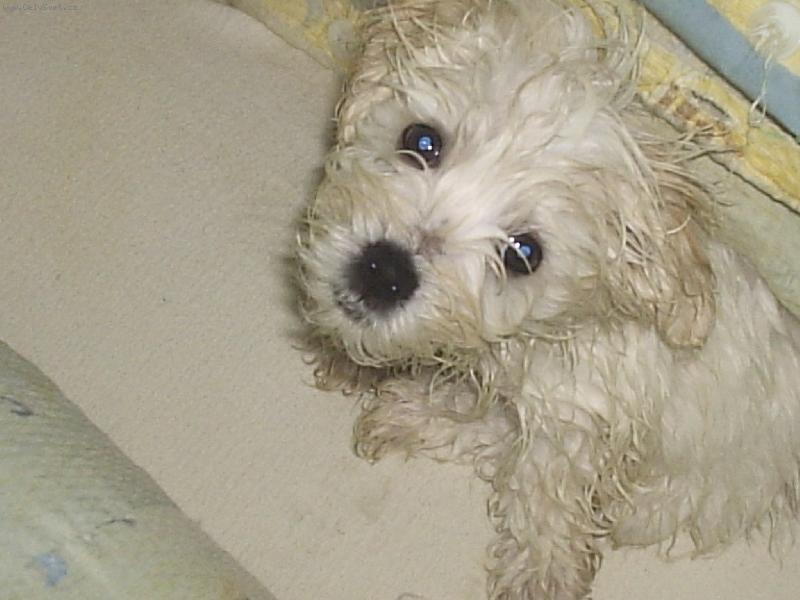 Foto: Nemám rád koupání....